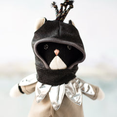 Orion Cat!