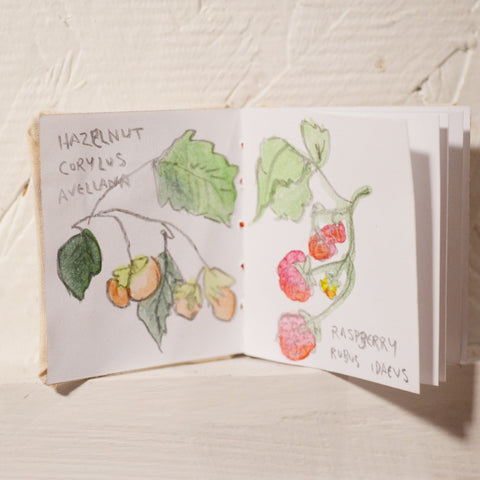Hazel Village Craft Society, How to Make Your Own Books with Kids