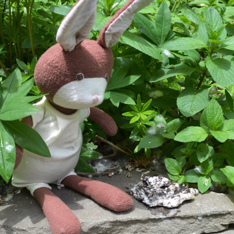 Juliette Rabbit