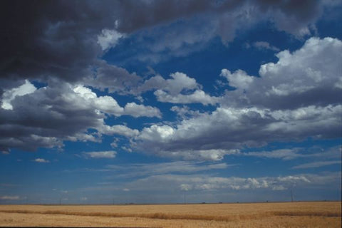 Cumulous Cloud
