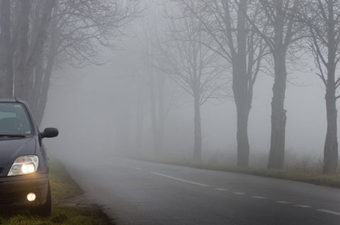 Fog