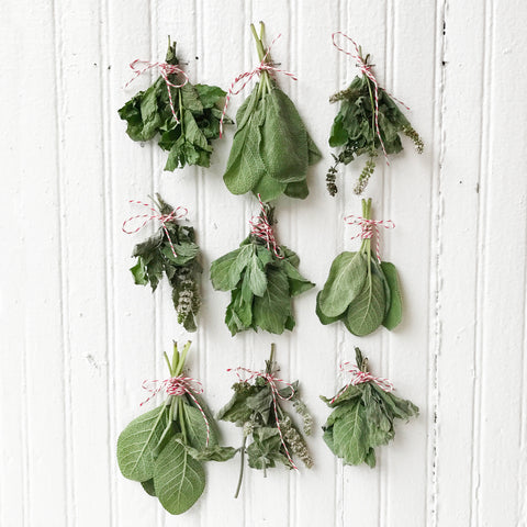 Herbs drying with twine