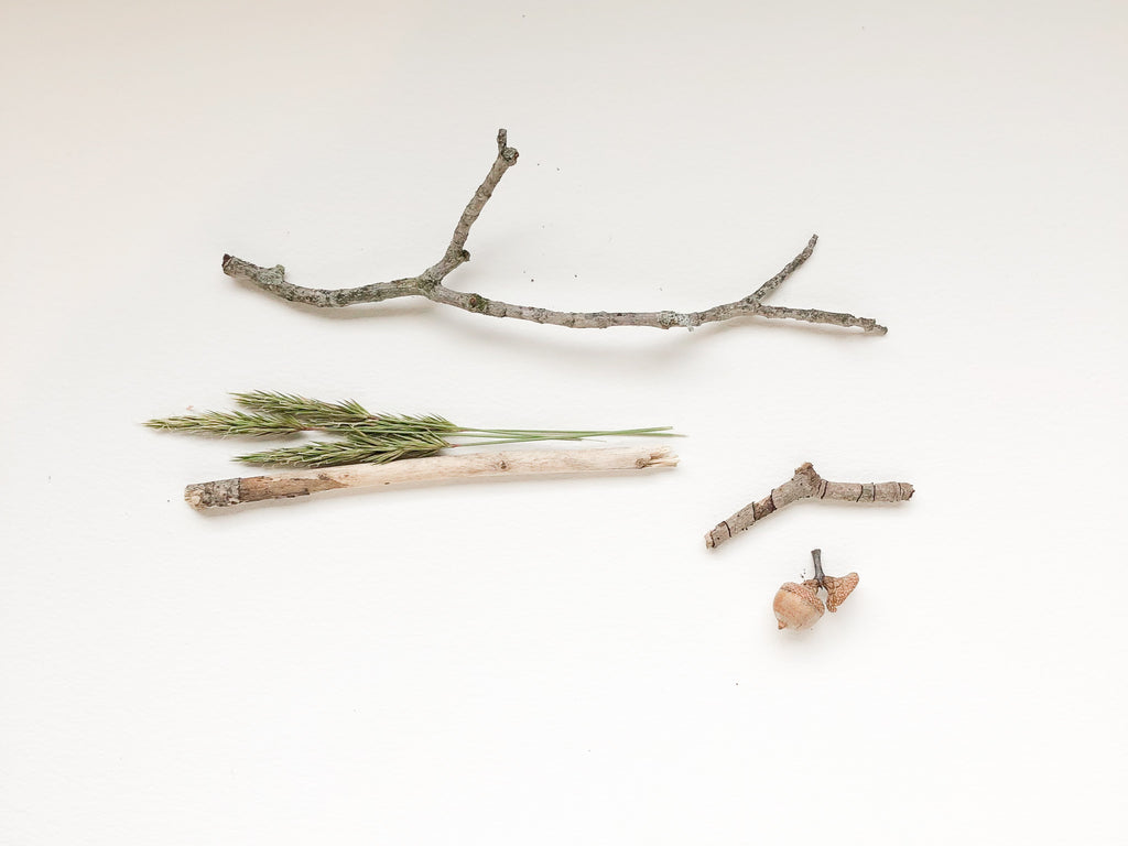 twigs