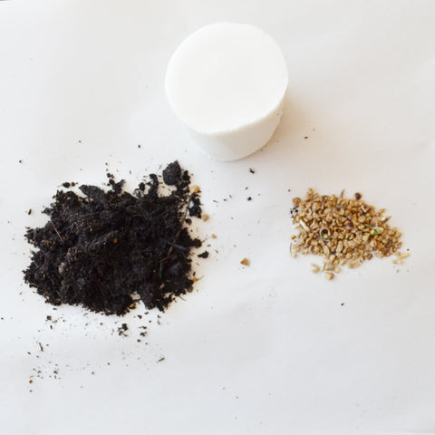 Clay, dirt, and seeds