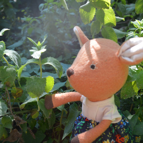 Phoebe Fawn wandering outside