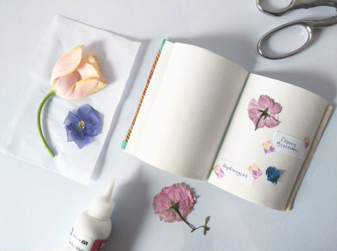 Pressed Flowers in a Book
