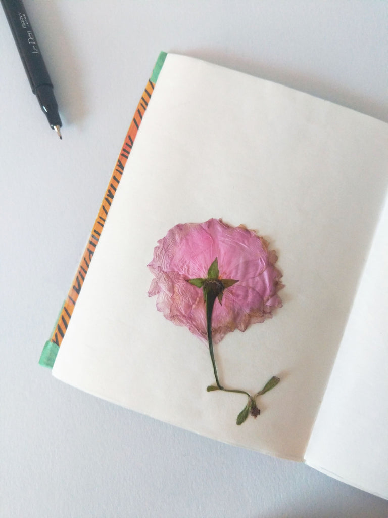 Pressed Flower in a Book